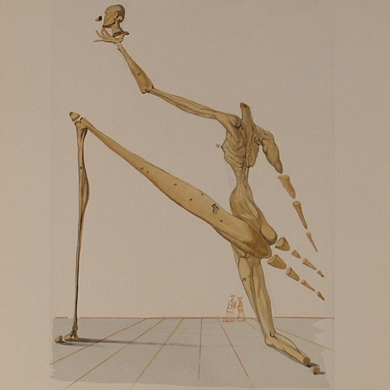 Salvador Dali Collection