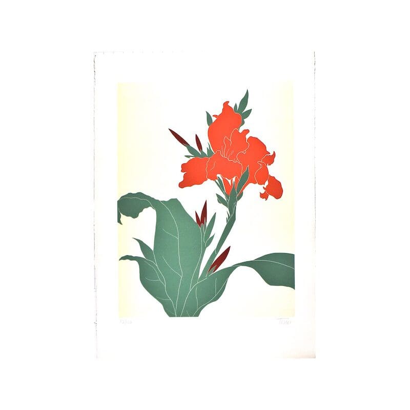 Illustration of a vibrant orange flower.