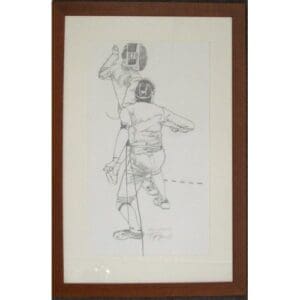 Fencing