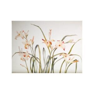 Delicate orange orchids with long green leaves on a white background.
