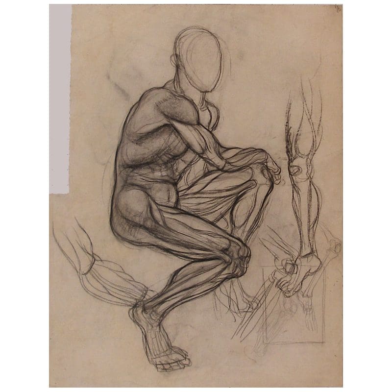 Portrait of a Woman Verso Male Nude Seated