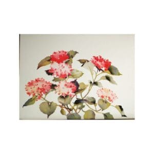 Delicate pink and white flowers with green leaves on branches.