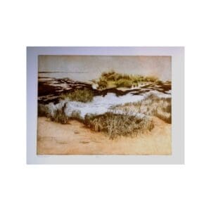 Tidal marsh