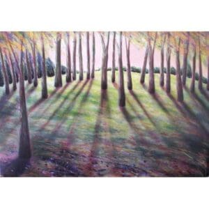 Untitled Limited Editions Nancy Denison