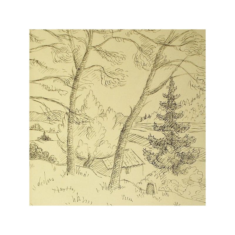 A pencil sketch of a snowy forest with various trees.